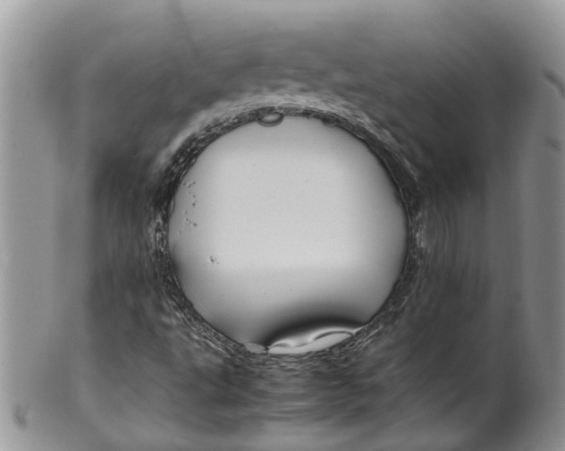 X0000099511495200806051134