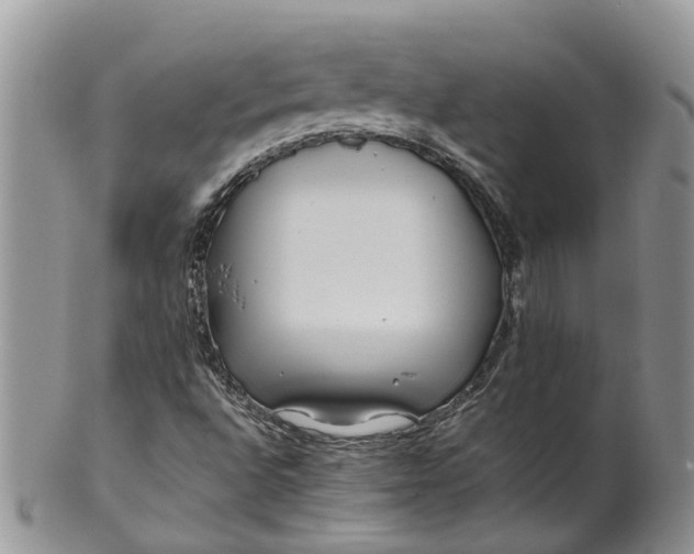 X0000099511496200806051134