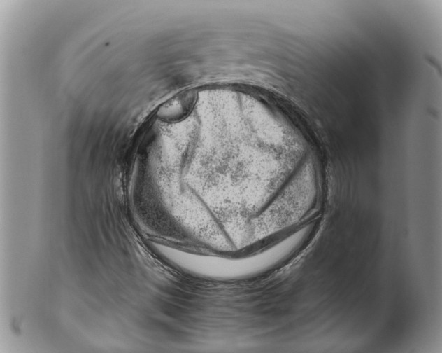 X0000099511497200806051134