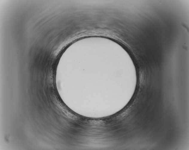 X0000099511498200806051134