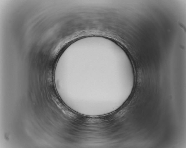 X0000099511499200806051134