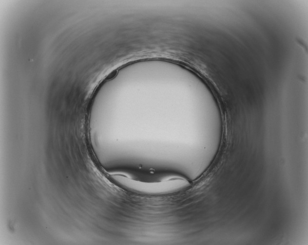 X0000099511500200806051134