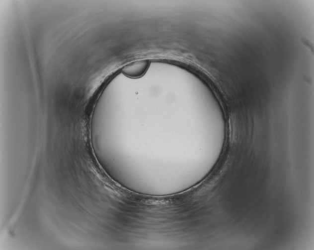 X0000099511501200806051134