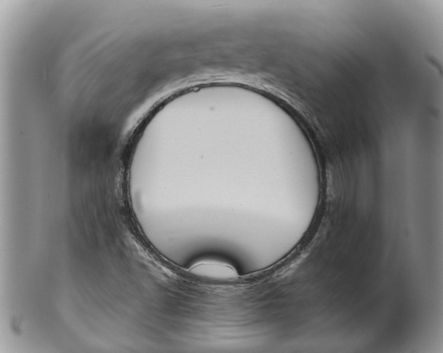 X0000099511502200806051134