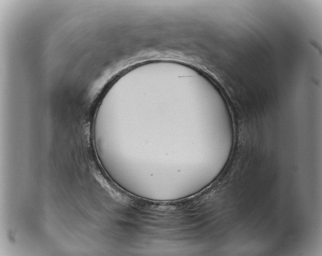 X0000099511503200806051134