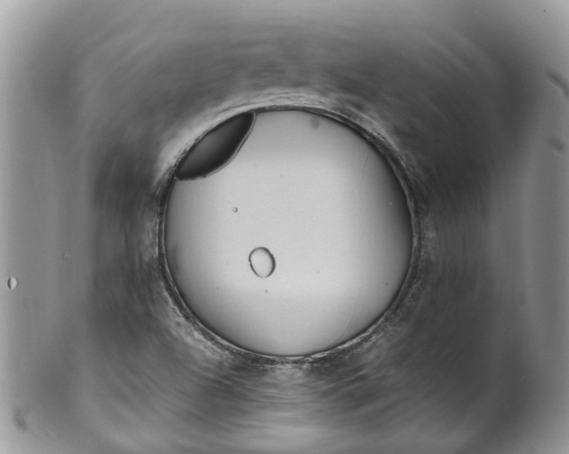 X0000099511504200806051134