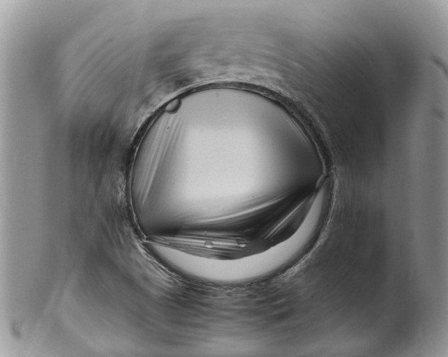 X0000099511505200806051134