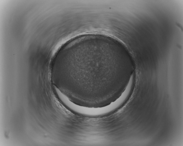 X0000099511506200806051134