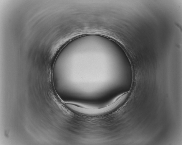 X0000099511507200806051134