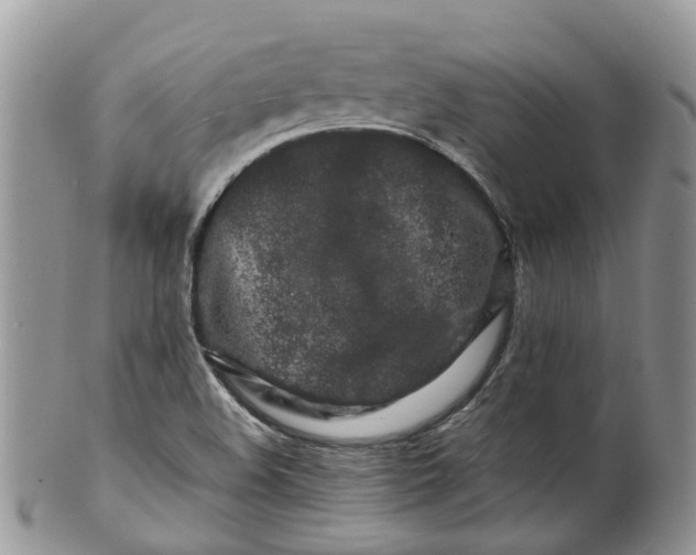 X0000099511508200806051134