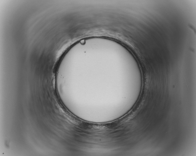 X0000099511509200806051134