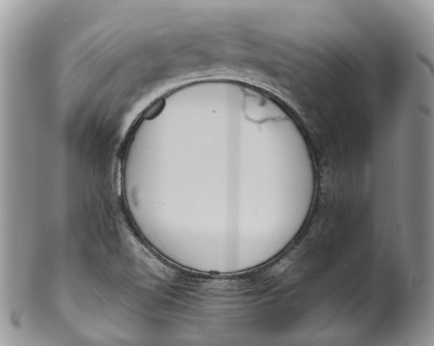 X0000099511510200806051134