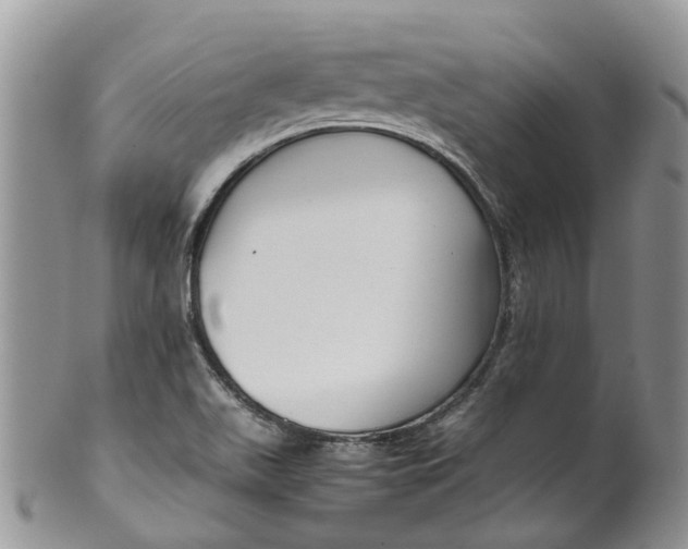 X0000099511511200806051134