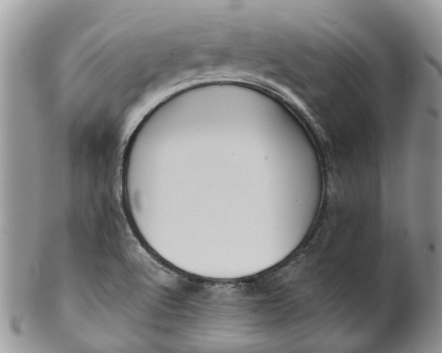 X0000099511512200806051134