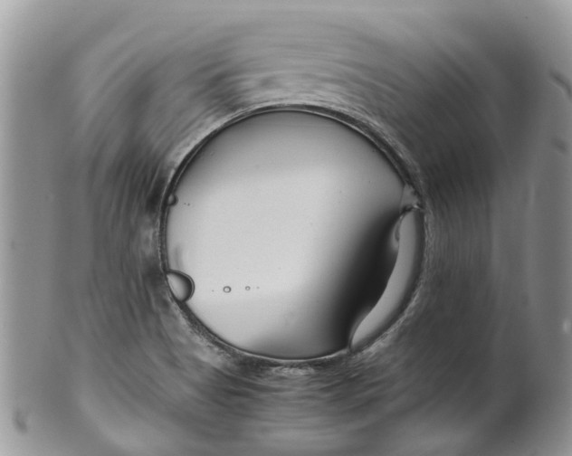 X0000099511513200806051134