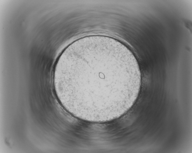 X0000099511514200806051134