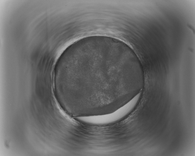 X0000099511515200806051134