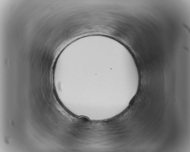 X0000099511516200806051134