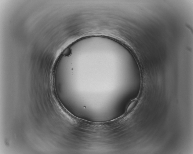 X0000099511517200806051134