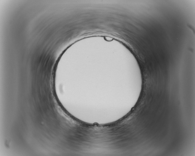 X0000099511518200806051134