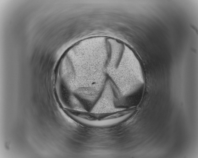 X0000099511519200806051134