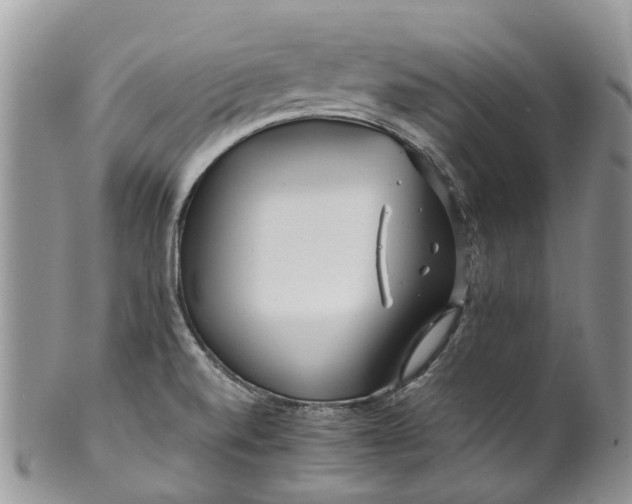 X0000099511520200806051134