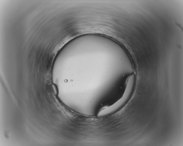 X0000099511521200806051134