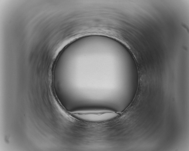 X0000099511523200806051134