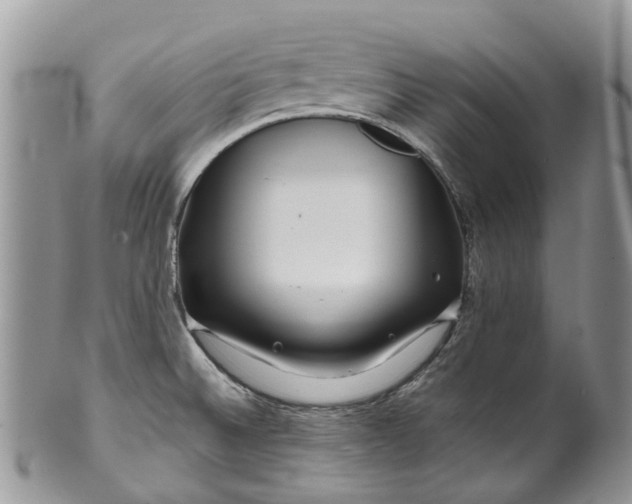 X0000099511524200806051134