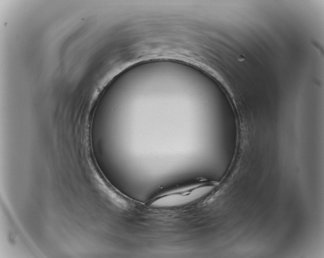 X0000099511525200806051134