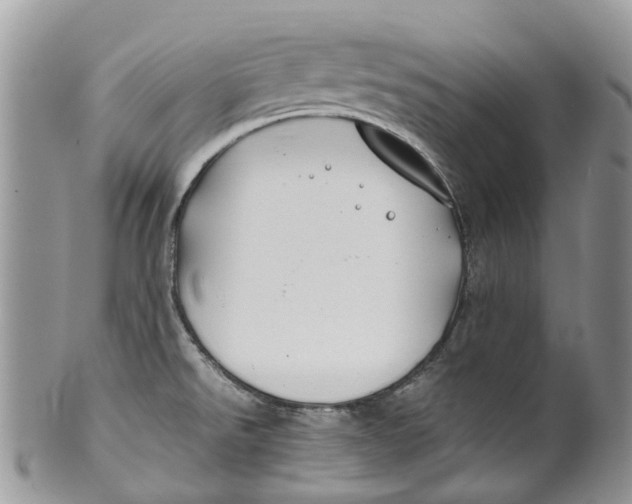 X0000099511526200806051135