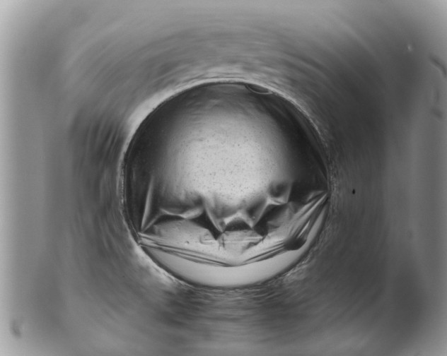 X0000099511527200806051135