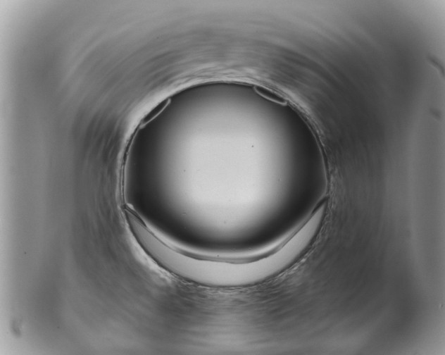 X0000099511528200806051135