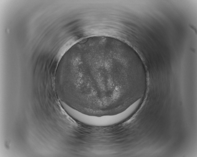 X0000099511529200806051135