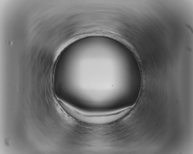 X0000099511530200806051135