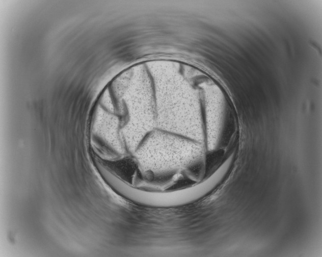 X0000099511533200806051135