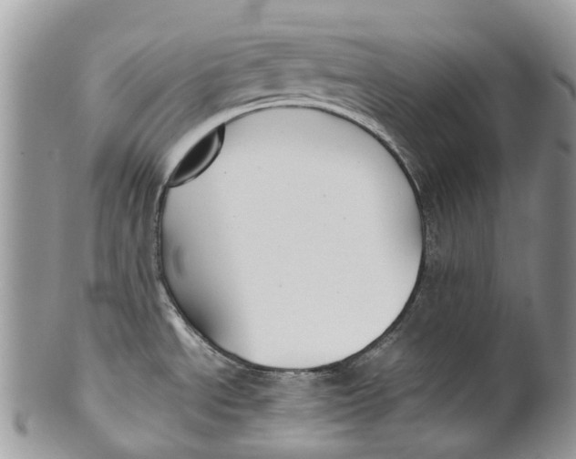 X0000099511534200806051135