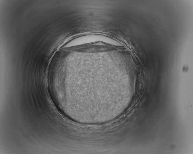 X0000099510002200806121450