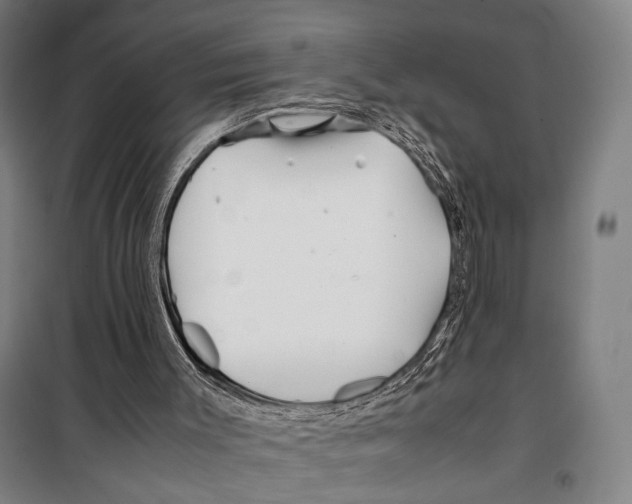 X0000099510003200806121449
