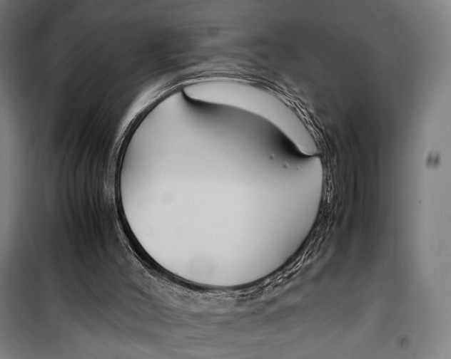 X0000099510004200806121449