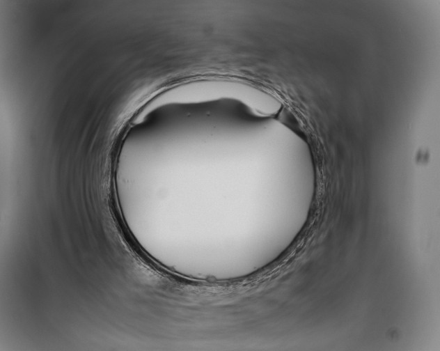 X0000099510005200806121449