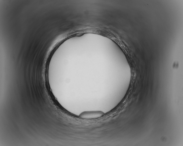 X0000099510006200806121449