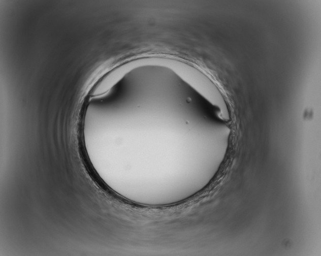X0000099510007200806121449