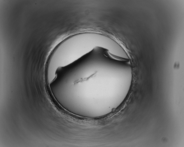 X0000099510008200806121449