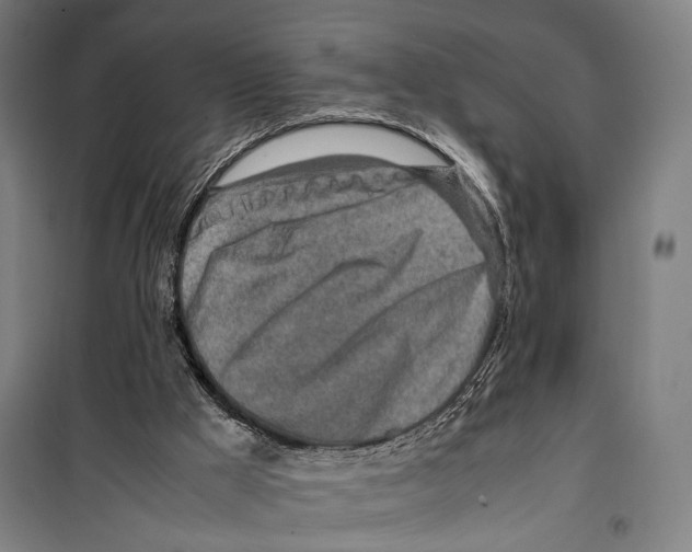 X0000099510009200806121449