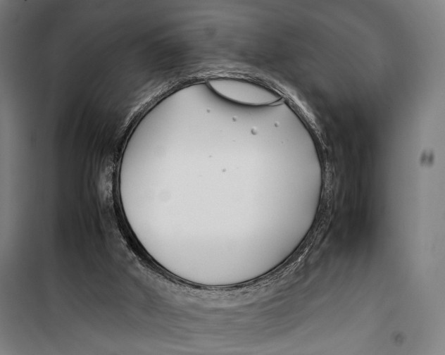 X0000099510010200806121449