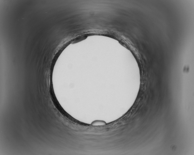 X0000099510011200806121449