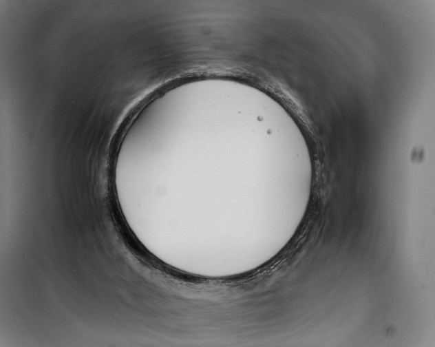 X0000099510012200806121449