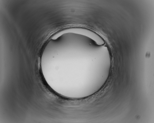 X0000099510013200806121449