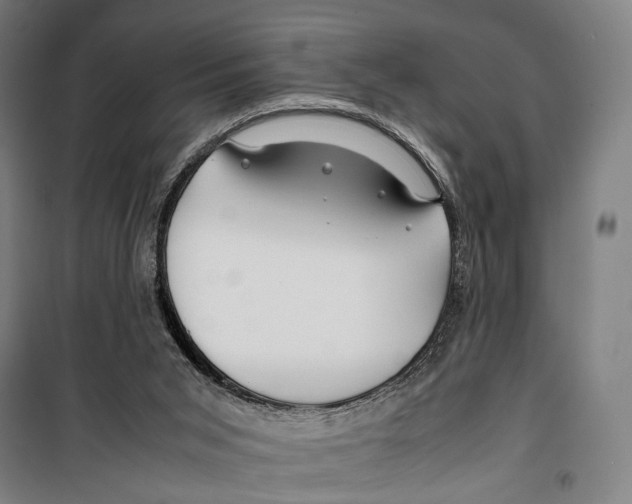X0000099510015200806121449